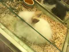 -龙猫仔乐园(惠福东路店)