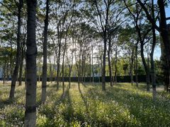 -将府公园