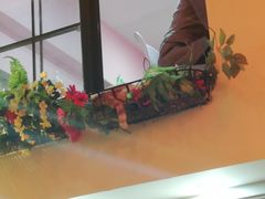 -李小姐の猫咖啡馆(五角场店)