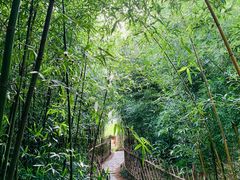 -竹子庵公园