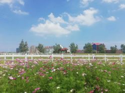 点击看大图 -香庭海婚纱摄影·威海旅拍(统一路店)