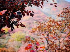 -周口店坡峰岭风景区