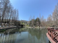 -湛山寺