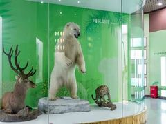 -国家自然博物馆