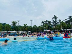 -重庆海昌加勒比海水世界