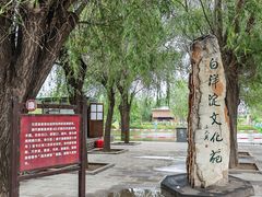 -白洋淀景区