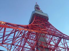 -东京塔海贼王主题公园