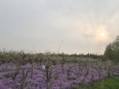 -江苏三台山国家森林公园