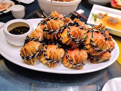 大闸蟹-香雪海饭店中餐厅(人民桥店)