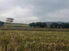 -光明小镇欢乐田园