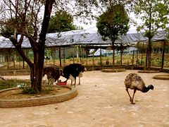 -武汉紫薇都市田园