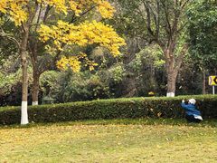 -东钱湖旅游度假区