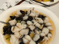 -老绍兴养和饭店(向阳不夜城店)