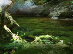 -龙峪湾国家森林公园