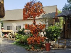 -后湖小院·乡野田园菜