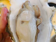 -蚝专家(北滘店)