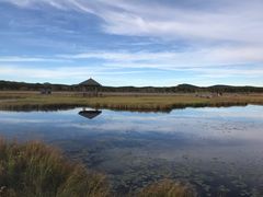 -塞罕坝国家级自然保护区