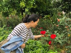 -韶关经律论国际酒店温泉