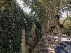 -滇池海埂公园