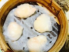 -添好运点心专门店(北角店)