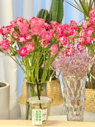-韩芙莱芳疗spa健康管理