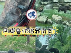 -北京野生动物园