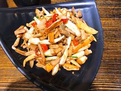 酸萝卜炒肚丝-壹盏灯(蚂蚁工房店)