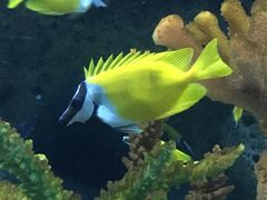 -多彩贵州城极地海洋世界