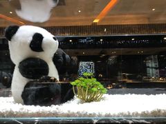 -红辣椒·川菜·火锅(大洋中心店)