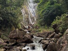 -广州白江湖森林公园