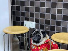 -双冰面馆(茶南店)
