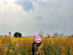 -中国天府农业博览园