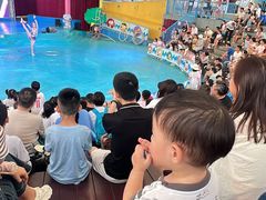 -史努比缤纷世界