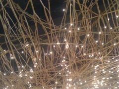 iphone_upload_pic-水上明月·湖景餐厅