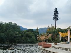 -白马涧龙池景区
