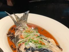 仙骨鱼-凤凰湘语·湘粤鲜融(浦东旗舰店)