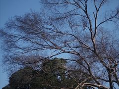 -无锡梅园公园