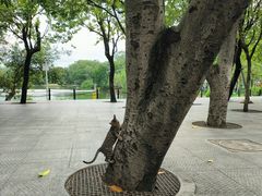 -东山湖公园