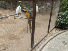 -南宫五洲植物乐园