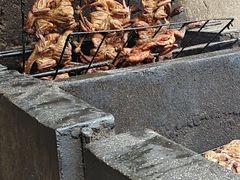 -大京袁记烤全羊农家(大京水库店)