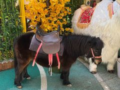 -昆明动物园