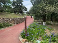 -云岗森林公园