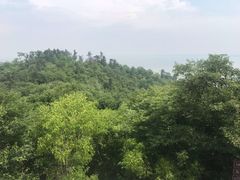 -巢湖姥山岛