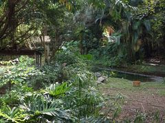 -深圳野生动物园