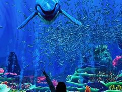 -太平洋海底世界