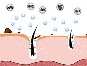 -Cream88颜皮肤管理中心