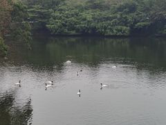 -广州长隆野生动物世界