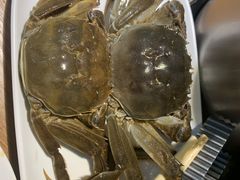 -海吃海喝海鲜烤肉炭火主题自助餐(朝阳店)