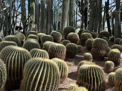 -南山植物园