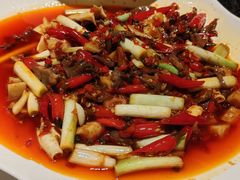-院8里·小聚园(九眼桥店)